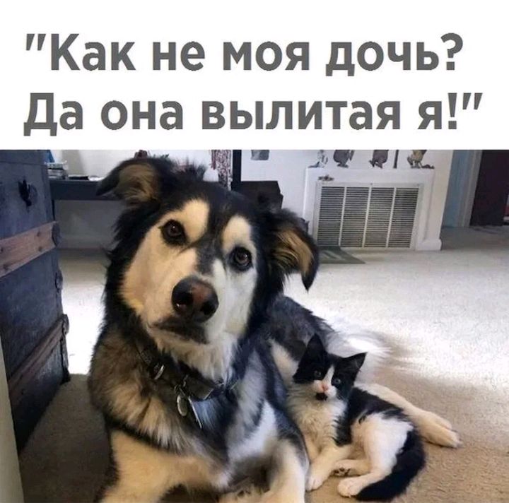 Как не моя дочь Да она вылитая я