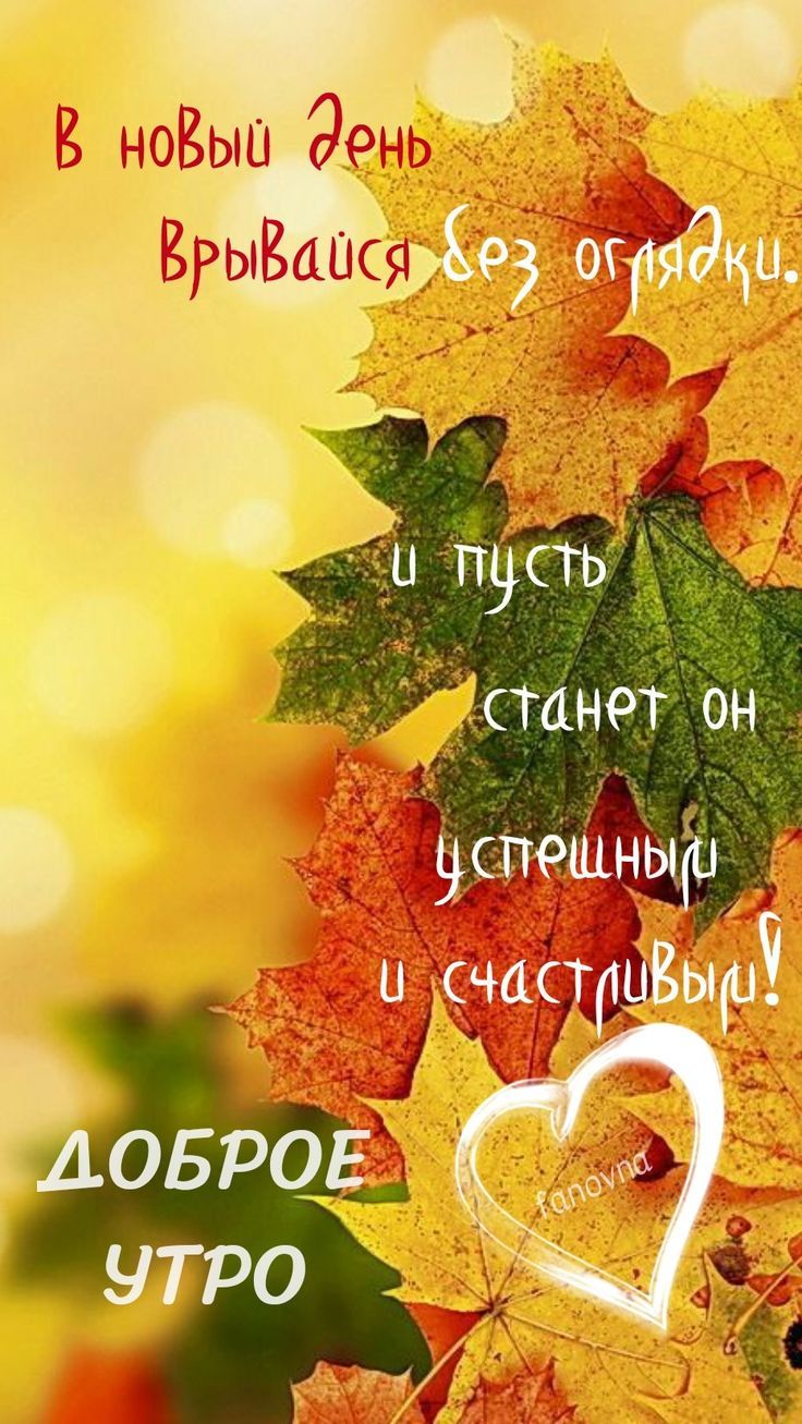 г _ Щ гЁчЫЬШ и 950 ЁЬЕ4_Шся