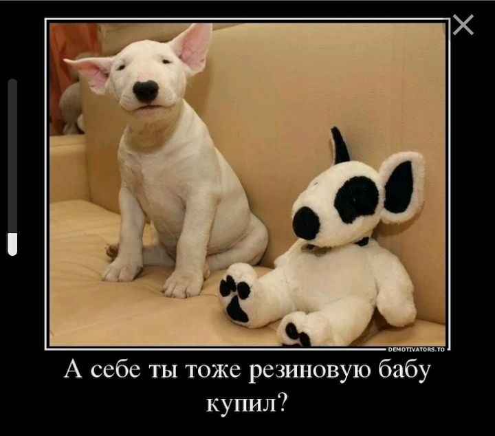 А себе ты тоже резиновую бабу купил