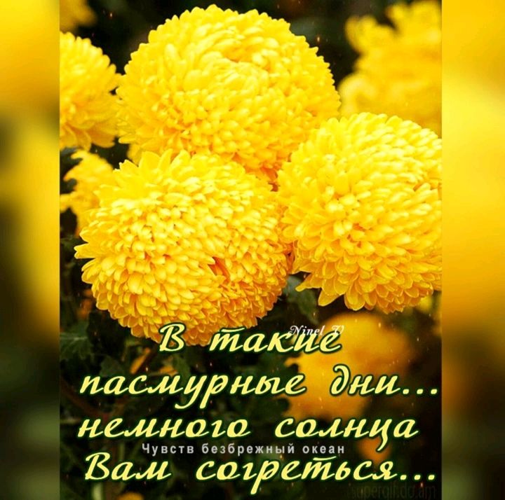 наладил вища чупп вне и Вы скидайри