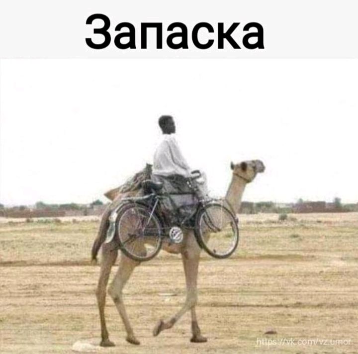Запаска