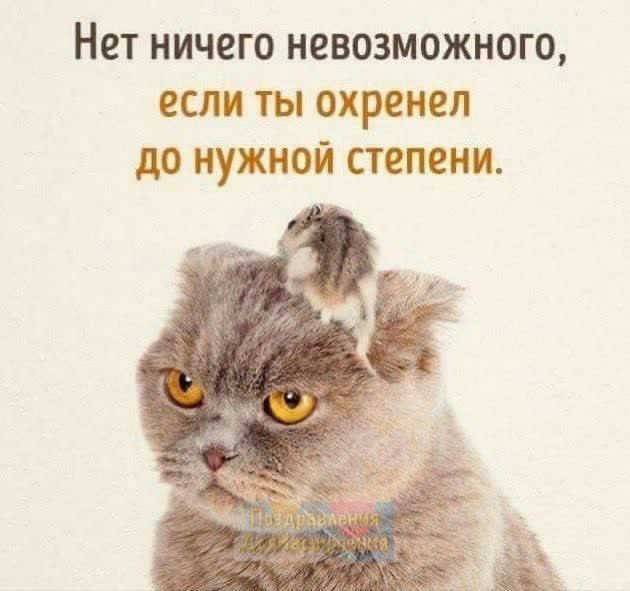 Нет ничего невозможного если ты охренел до нужной степени