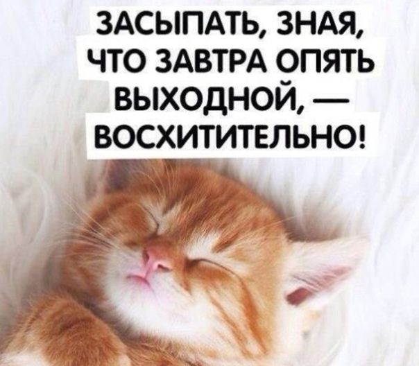 3АСЫПАТЬ знм что ЗАВТРА опять выходной восхитительнш