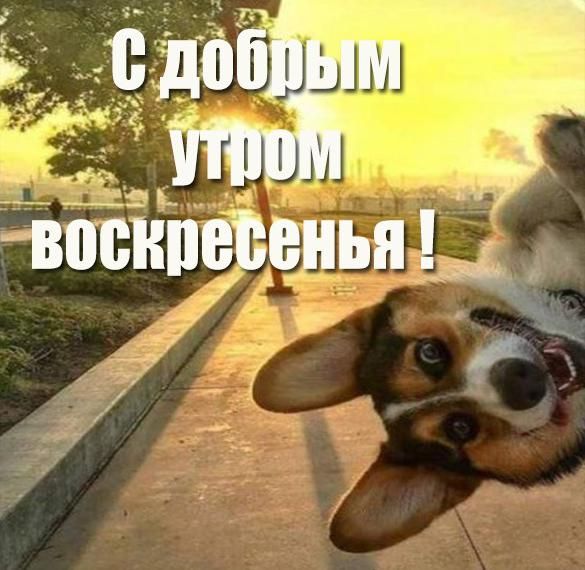 _ ШЭЁ Ё вБЁЁПЁЁеньп