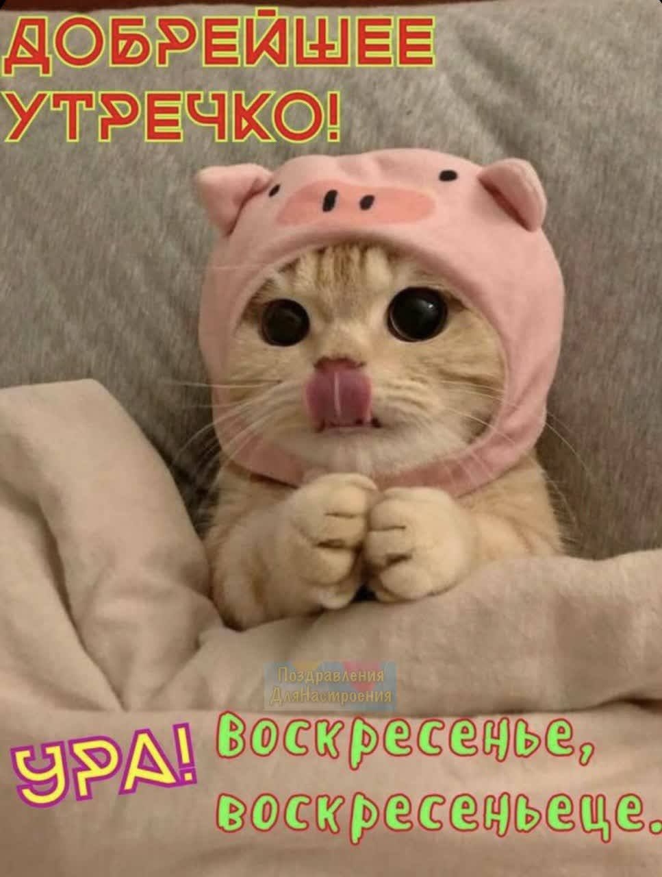 дбвэёшаг утяёчи ГЫ встык 9 Ёь ЧТ __г_шр