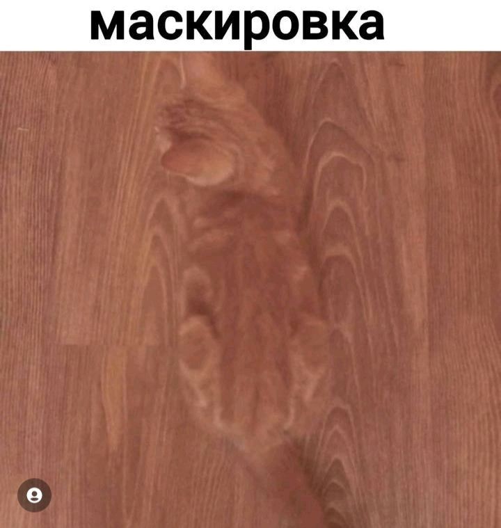 маскировка