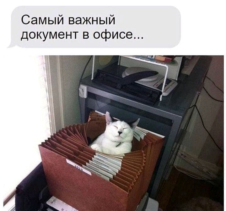 Самый важный документ в офисе