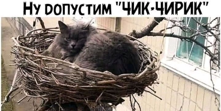 НУ ООПУСТИМ_ чик ЧИРИК