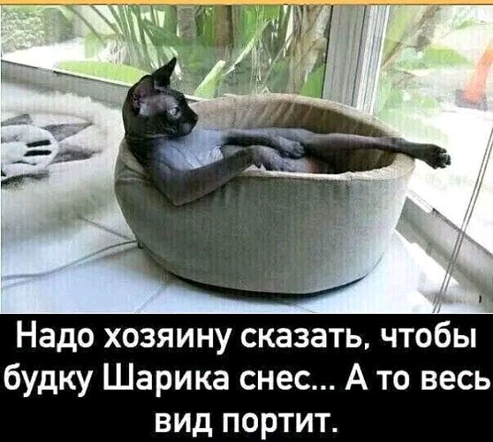 Надо хозяину сказать чтобы будку Шарика снес А то весь вид портит