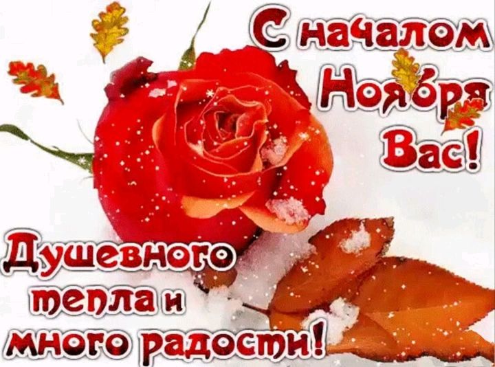 С 5