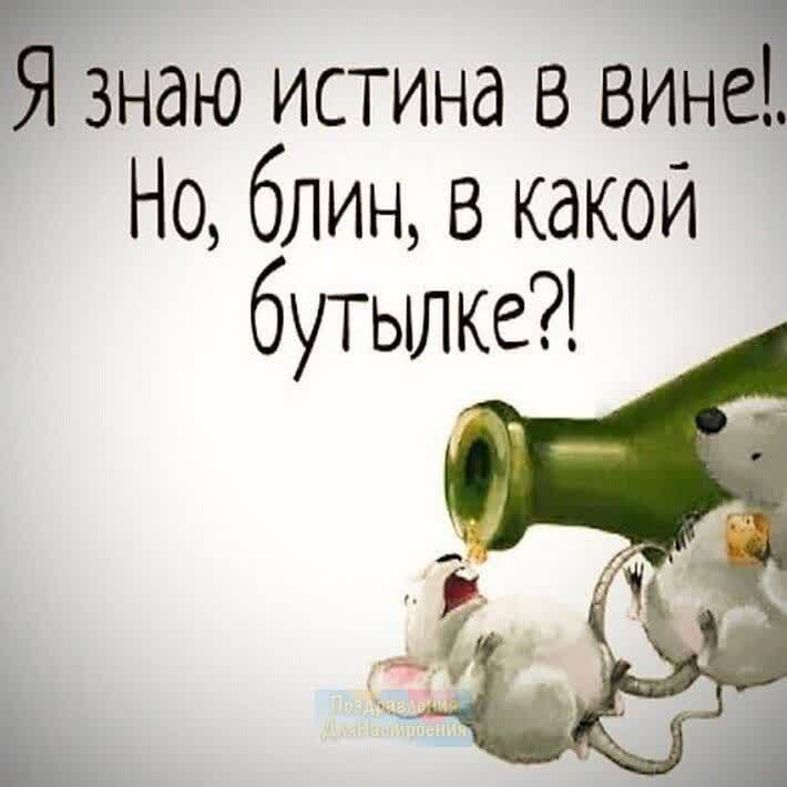 Ёзндю истина в вина Но блин в какой
