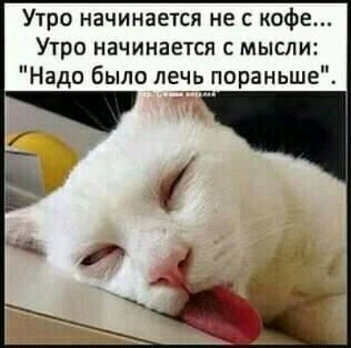 Утро начинается не с кофе Утро начинается с мысли Надо было лень пораньше