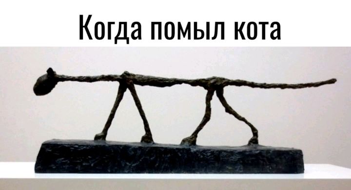 КОГДЗ ПОМЫП КОТЗ
