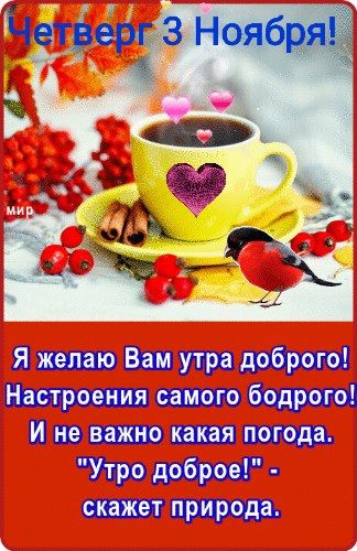 Шжвшюёъшшшм Шика шпата