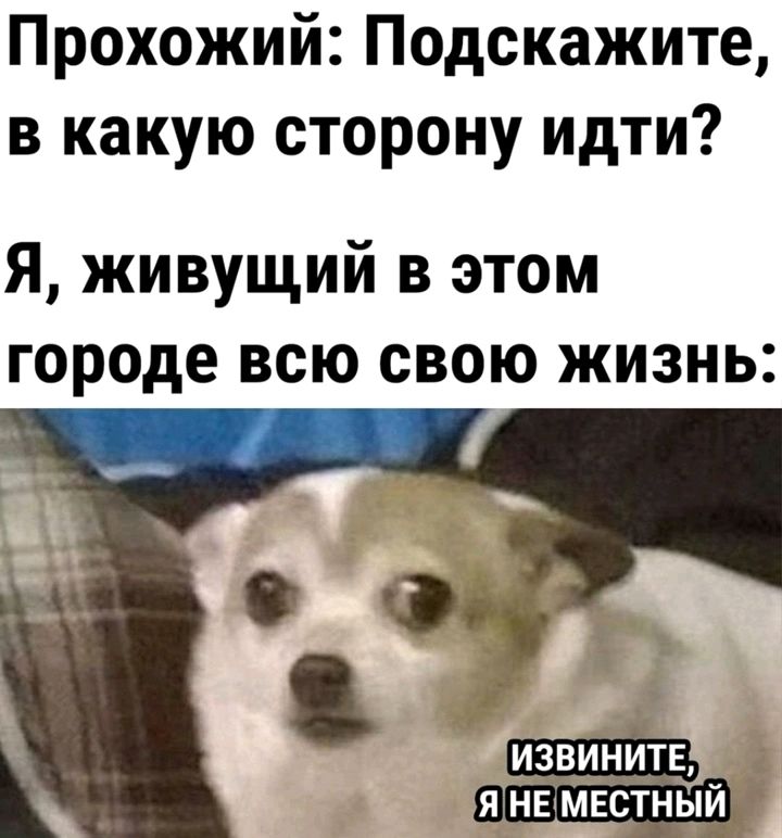 Прохожий Подскажите в какую сторону идти Я живущий в этом городе всю свою жизнь