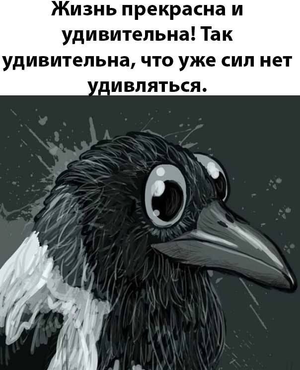 Жизнь прекрасна и удивительна Так удивительна что уже сил нет _ивпяться