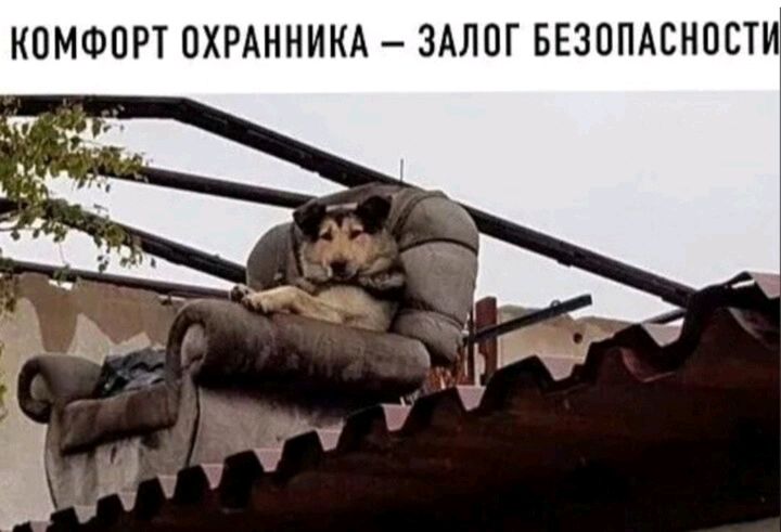 КПМФОП ОХРАННИКА ЗАЛОГ БЕЗОПАСНПСТ