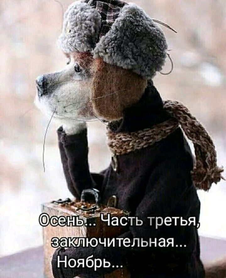 531 Часть третья