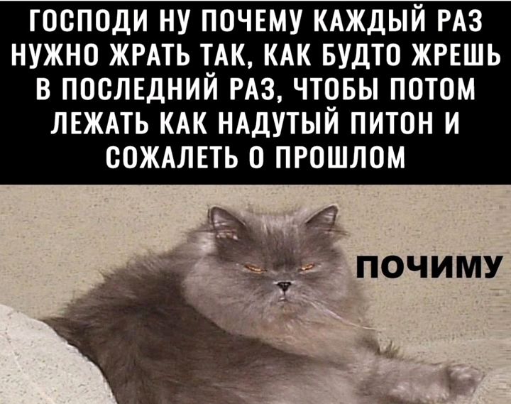 ГООПОДИ НУ ПОЧЕМУ КАЖДЫЙ РАЗ НУЖНО ЖРАТЬ АК КАК БУдТО ЖРЕШЬ В ПОСЛЕДНИИ РАЗ ЧТОБЫ ПОТОМ ЛЕЖАТЬ КАК НАДУТЫЙ ПИТОН И ООЖАЛЕТЬ О ПРОШЛОМ _ ПОЧ МУ