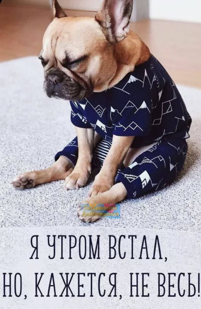 я чтгбм ЁСТАА но КАЖЕТСЯ НЕ ВЕСЫ