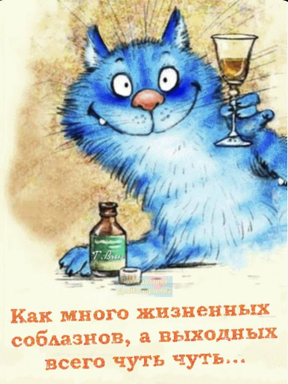 Как много жизненных собщенов выходных всего чуть чуть