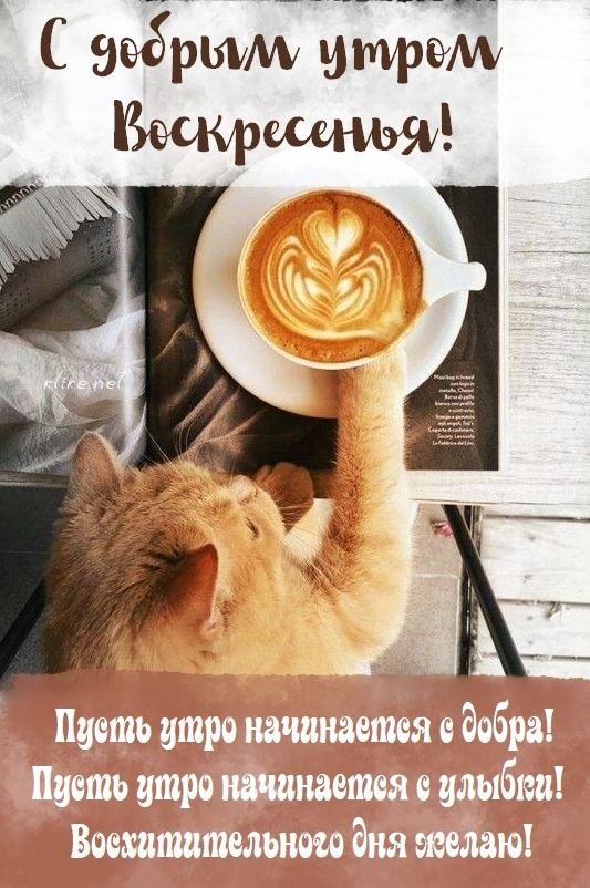 езрммьм Йіі
