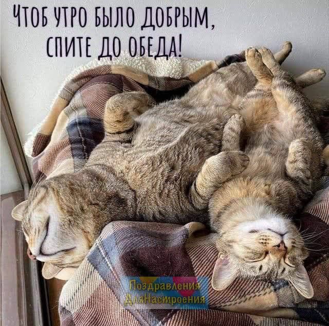 ЧТОБ ПРО БЫЛО ДОБРЫМ ПИТЕДО ОБЕД