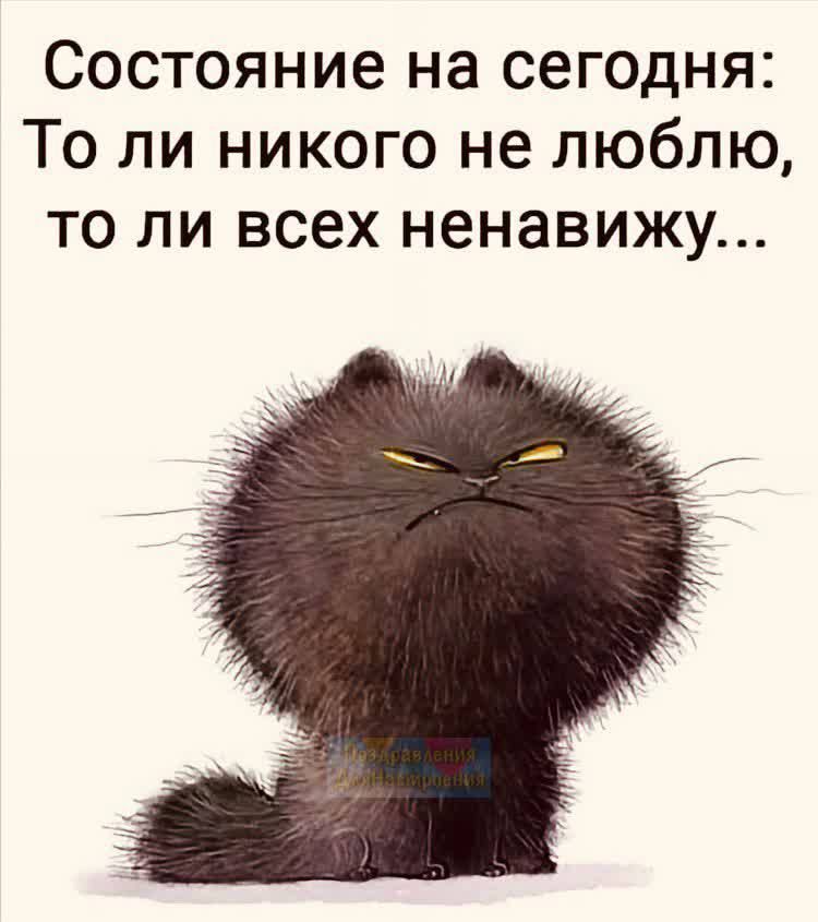 Состояние на сегодня То ли никого не люблю то ли всех ненавижу