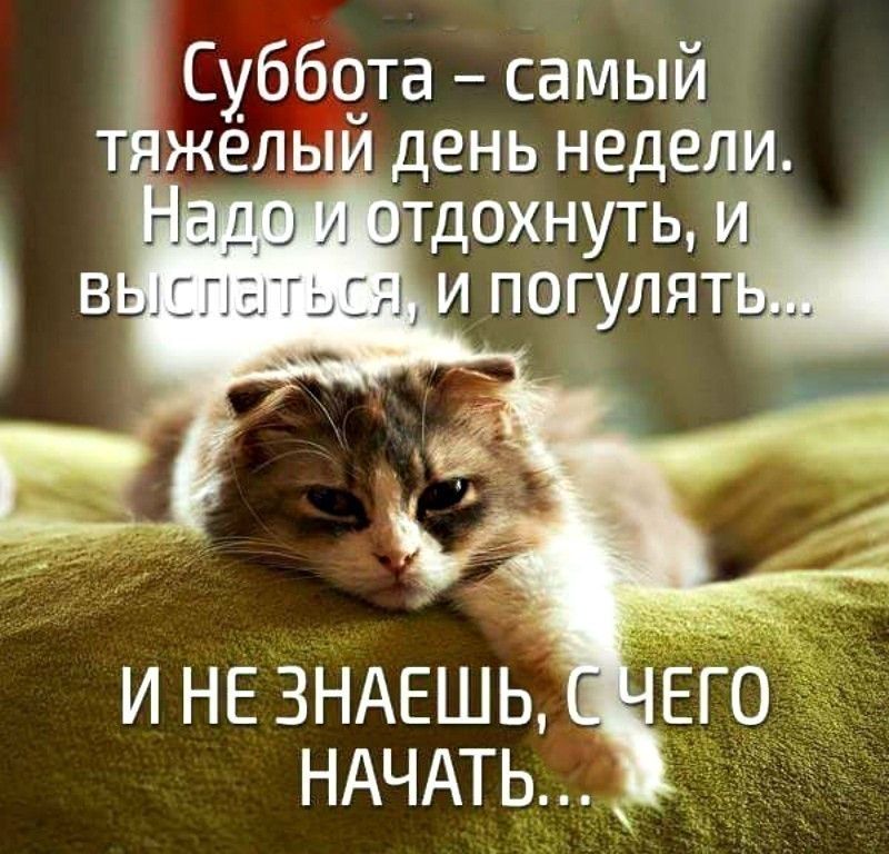 Суббота самый желыи день недели М и незндешь г НАЧАТЬ