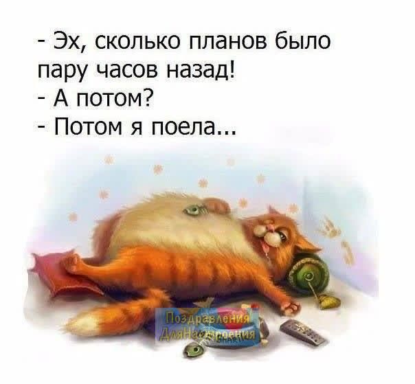 Эх сколько планов было пару часов назад А потом Потом я поела