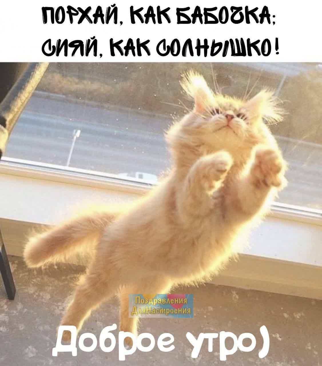 П0ХАИ КАК БАБОБКА ОИЯИ КАК юднышко