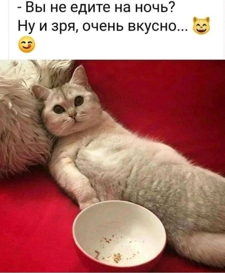 Вы не едите на ночь Ну и зря очень вкусно