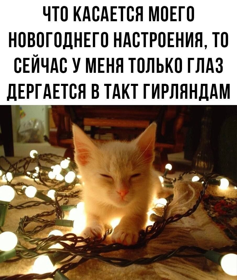 ЧТО КАСАЕТСЯ МОЕГО НОВОГОДНЕГО НАСТРОЕНИЯ ТО СЕЙЧАС У МЕНЯ ТОЛЬКО ГЛАЗ дЕРГАЕТСЯ В ТАКТ ГИРЛЯНДАМ