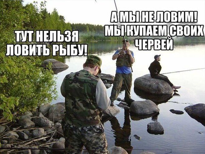 ПП НЕЛЬЗЯ ловить гыыпл