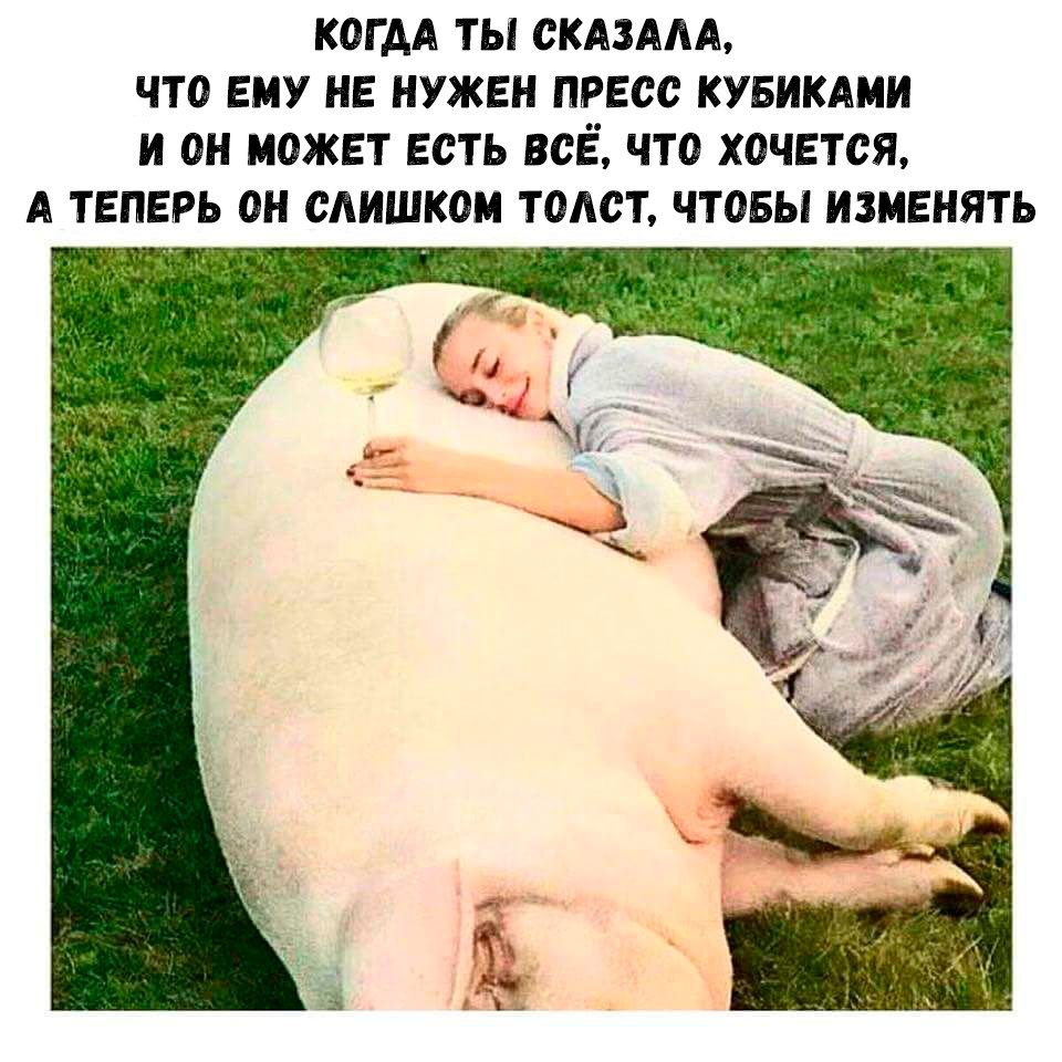 КОГ АА ТЫ СКАЗАЛА ЧТО ЕМУ НЕ НУЖЕН ПРЕСС КУБИКАМИ И ОН МОЖЕТ ЕСТЬ ВСЕ ЧТО ХОЧЕТСЯ А ТЕПЕРЬ ОН САИШКОМ ТОАСТ ЧТОБЫ ИЗМЕНЯТЬ