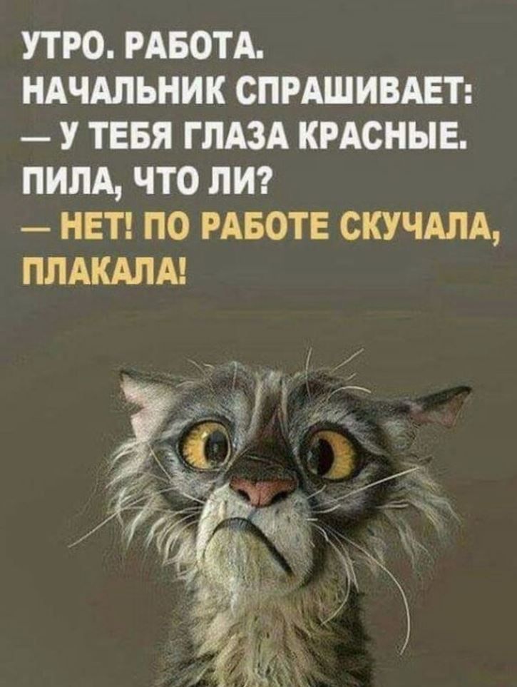 утро РАБОТА ндчдльник спрдшивдвп У ТЕБЯ гпдзд кмсныв ним что лиг нет по рдвотв сющдм ППАКАЛА _ У