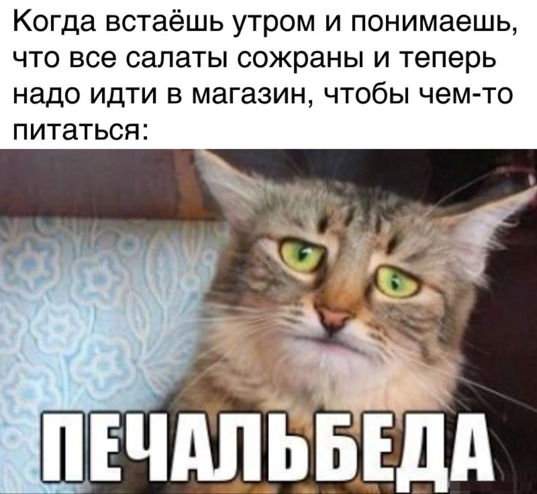 Когда встаёшь утром и понимаешь что все салаты сожраны и теперь надо идти в магазин чтобы чем то питаться _ _ ц д__ _