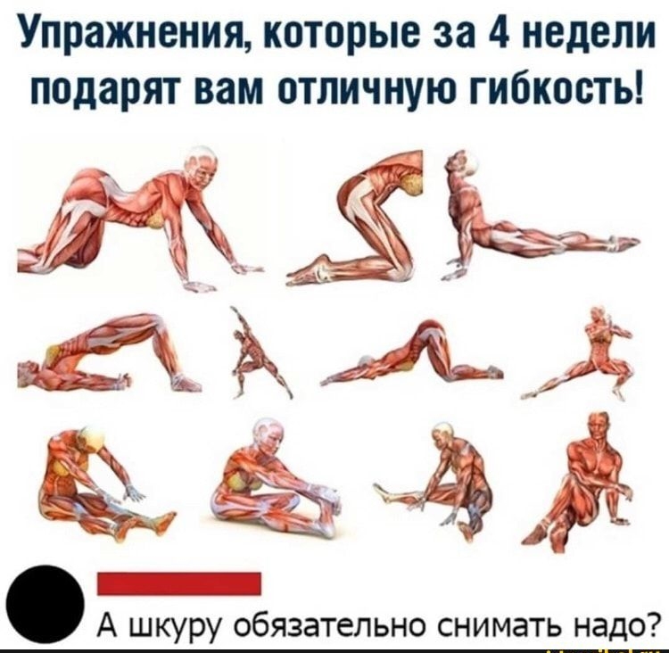 Упражнения которые за 4 недели подарят вам отличную гибкость _ А шкуру обязательно снимать надо
