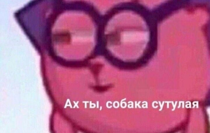 Ах ты собака сутулая 1