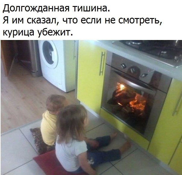 Долгожданная тишина Я им сказал что если не смотреть курица убежит