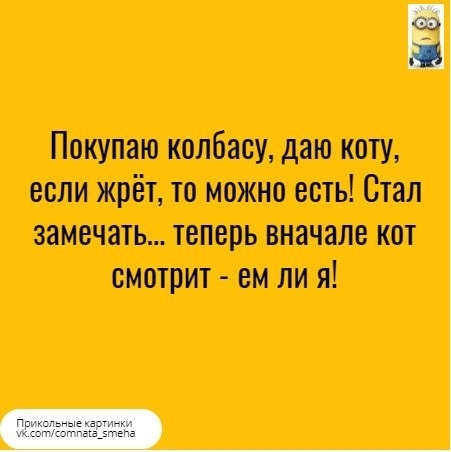 Покупаю колбасу даю коту если жрёт то можно есть Стал замечать теперь вначале кот смотрит ем ли я