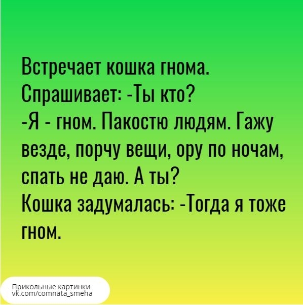 Встречает кошка гнома Спрашивает Ты кто Я гном Пакостю людям Гажу везде порчу вещи ору по ночам спать не даю А ты Кошка задумалась Т0гда я тоже гном
