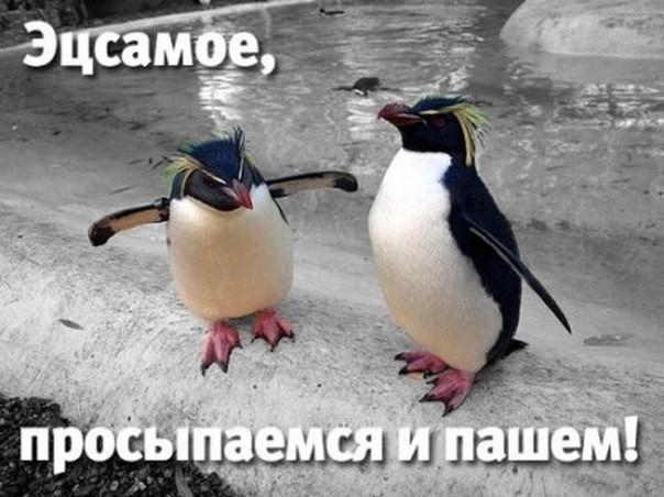 3141 Л