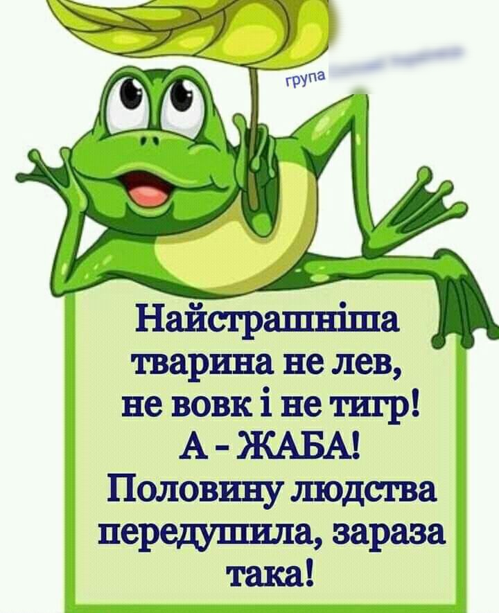 тварини не лев не вовк і не титр А ЖАБА Половину шодсгва передушила зараза така