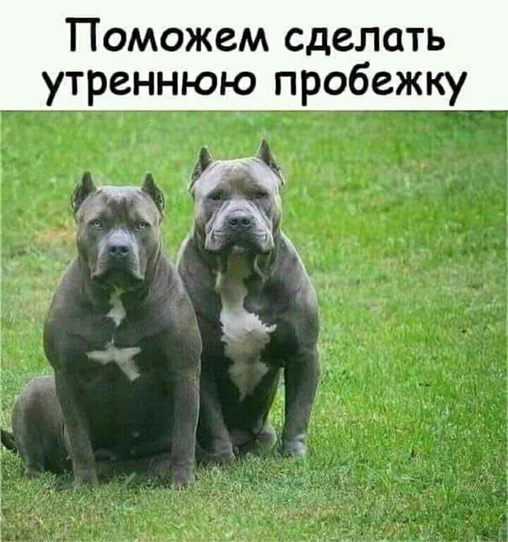 Поможем сделать утреннюю пробежку