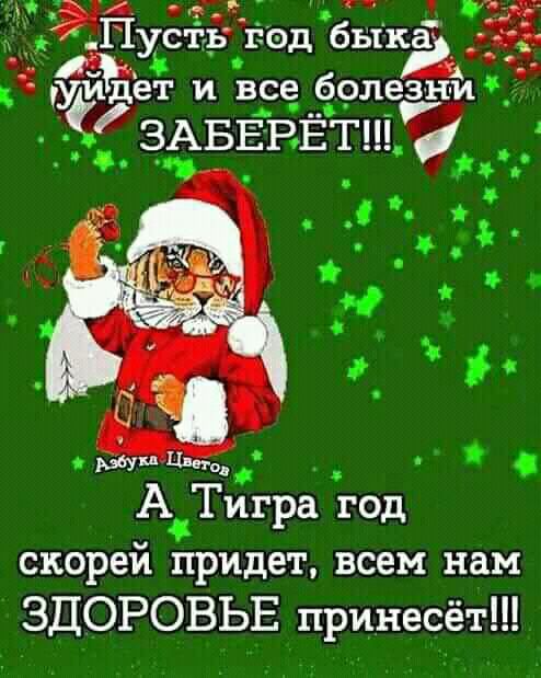 ийуегь ігоыбьчк 514 5 уйдет и все болезни _ ЗАВЕРЕтше гГ _ АТигра год скорей придет всем нам ЗДОРОВЬЕ принесёт