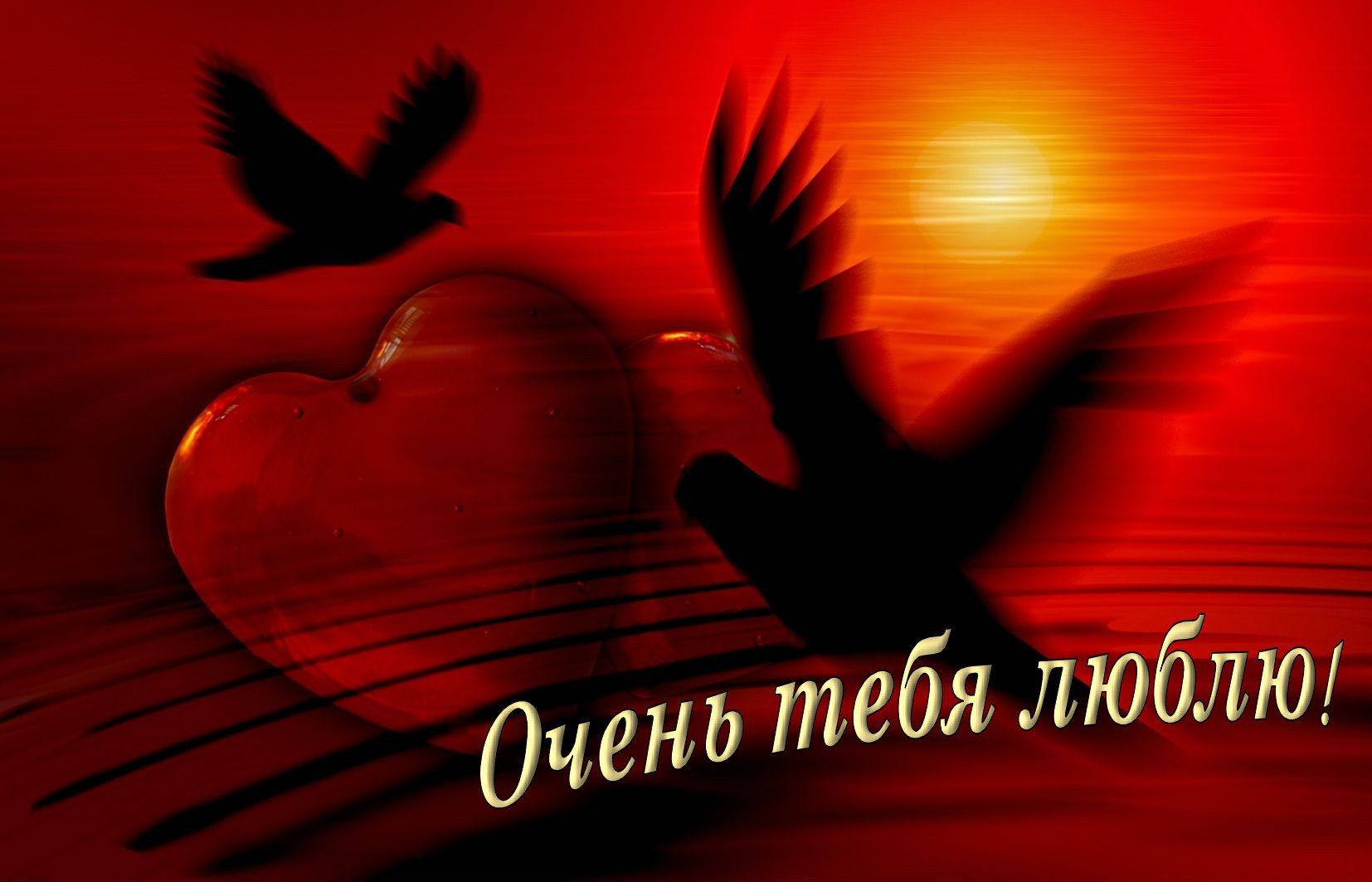 Чень тебя люблю!