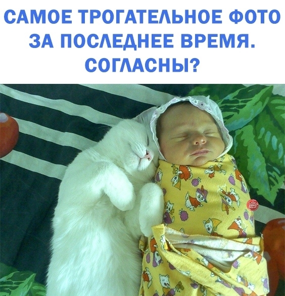 САМОЕ ТРОГАТЕАЬНОЕ ФОТО ЗА ПОСАЕДНЕЕ ВРЕМЯ СОГААСНЫ