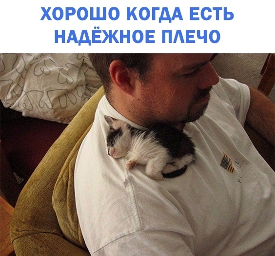 хорошо когдА Есть НАДЁЖНОЕ ПАЕЧО