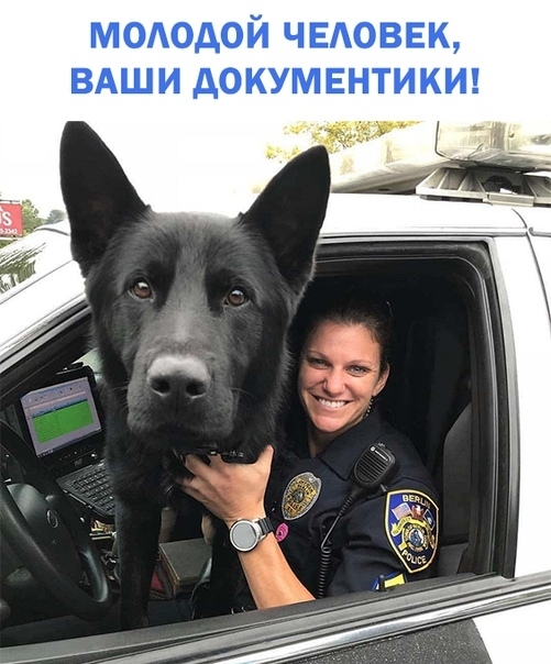 медодой ЧЕАОВЕК ВАШИ докумвнтикт